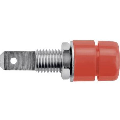 Schützinger IBU 5568 Ni / RT Prise encastrée rouge 1 pc(s) Y150472 (1/2)