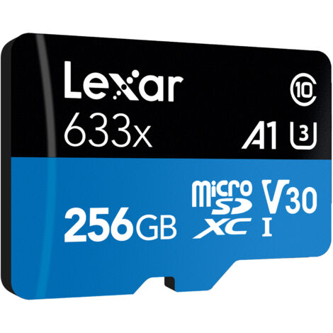 Lexar 633x 256 Go MicroSDXC UHS-I Classe 10 (1/4)