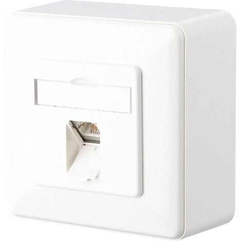 Prise réseau montage apparent (en saillie) CAT 6 1 port Metz Connect 1307370002-I blanc pur (1/2)