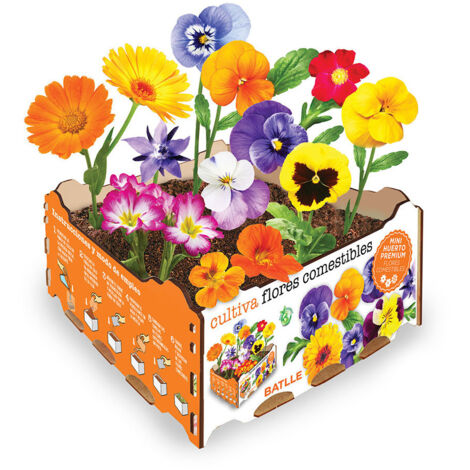 Boîte de fleurs comestibles – 3 variétés – Exposition ensoleillée – Période de semis printemps – Couleurs vives pour plats raffinés (1/2)