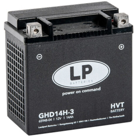 Batterie moto 12V 14Ah 220A – Technologie Gel – Démarrage fiable pour motos et scooters – Entretien sans entretien – Landport (1/2)