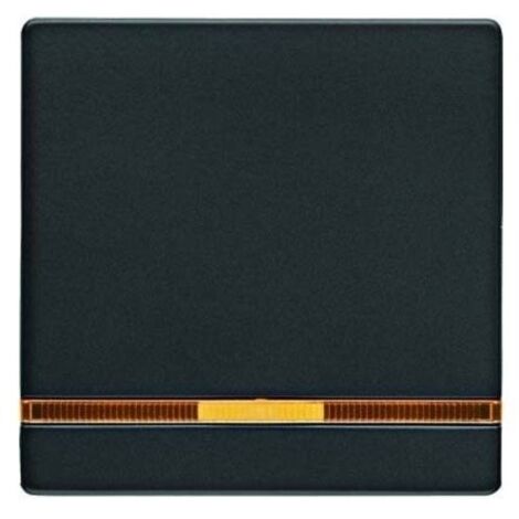 HAGER 16216086 PRISE DE COURANT ANTHRACITE BERKER (1/3)