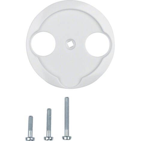 HAGER NOSTALGIA PLAQUE CENTRALE POUR TV-R-SAT BLANC POLAIRE (1/3)