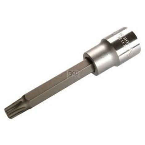 SPEZIAL-PROFIL T-INSERT, 12.5 (1/2), OU EXEMPLE 100 MM LONG, T60 (1/4)