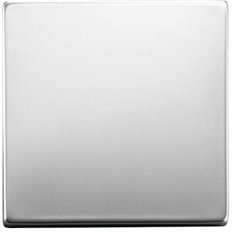Enjoliveur pour interrupteur va-et-vient pur inox (1/2)