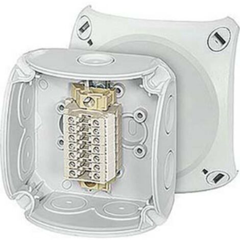 HENSEL SÉRIE BORNES BOÎTE RK 0207 T 1,52,5 MM², 7. BOÎTE DE SERRAGE, BOÎTIER POUR MONTAGE SUR LE MUR/PLAFOND 4012591125648 (1/2)