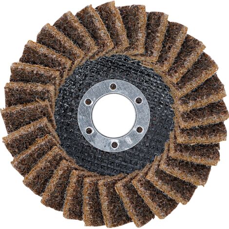 BGS Disque abrasif en éventail Vlies Ø 115 mm Granulométrie 80 - 74471 (1/4)