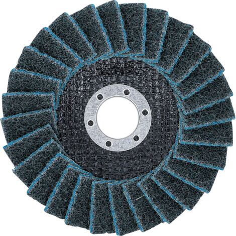 BGS Disque abrasif en éventail Ø 125 mm Granulométrie 240 - 74476 (1/5)