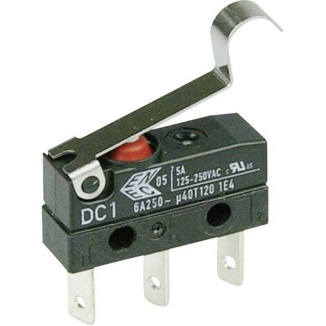 ZF DC1C-L1SC Microrupteur DC1C-L1SC 250 V/AC 6 A 1 x On/(On) IP67 à rappel 1 pc(s) D71482 (1/2)