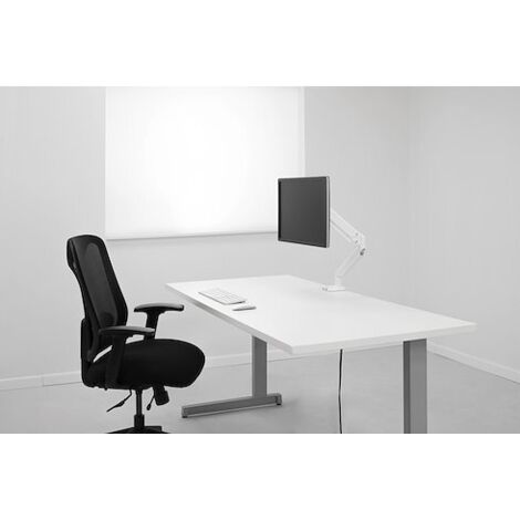 Fellowes Monitorarm Platinum Series 8056201 weiß (1/5)