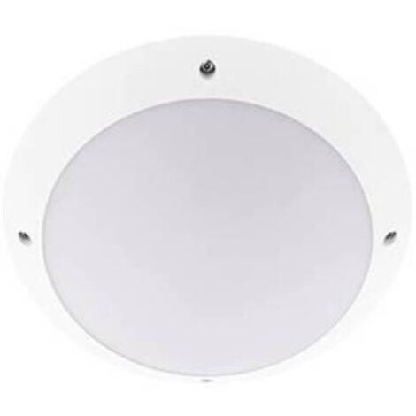 Indigo – Détecteur de mouvement Mini Timy E27 IP66 – Capteur infrarouge – Portée 12m – Angle d'inclinaison 180° – Fixation murale (1/3)