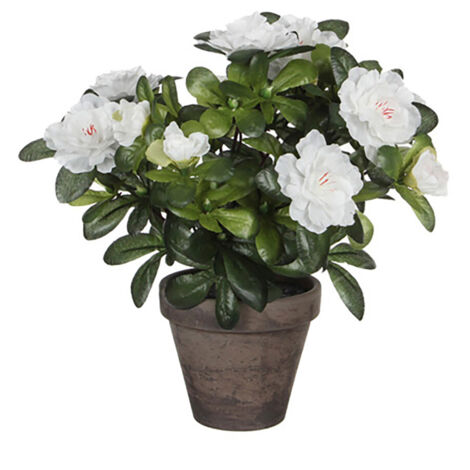 Azalée artificielle blanche dans un pot gris ø11,5cmx27xø20cm (1/2)