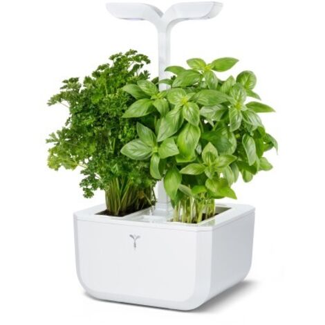 Outil de jardinage veritable exky classic éclairage LED arrosage auto (1/5)