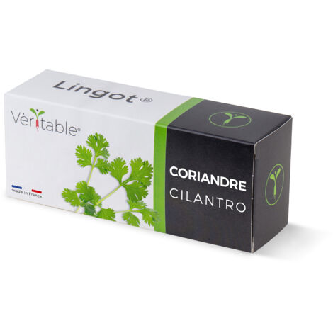 Veritable Lingot de coriandre recharge jardin intérieur vert (1/5)