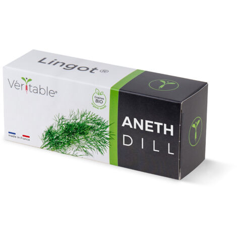 Veritable Pot d'aneth bio naturel prêt à l'emploi (1/5)