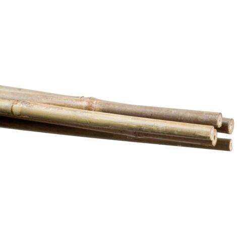 Outil pour planter stocker bamboo 60 cm 10 unités