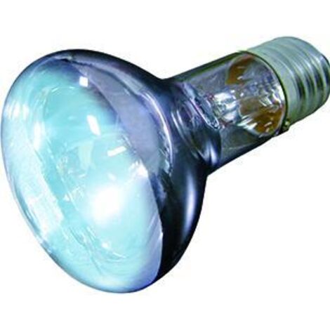 Ampoule lumière du jour joule - 50w (1/2)