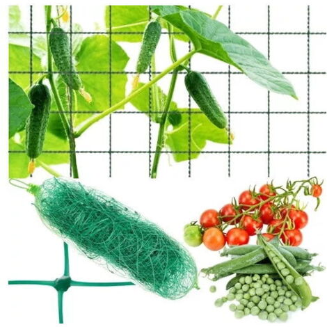 Filet à plantes 2x10m pour plantes grimpantes & légumes (1/4)