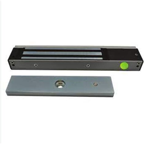 Izyx EMS600C Ventouse en applique 300kg