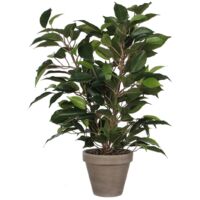 mica-decorations Ficus Natasja plante artificielle verte 40 cm