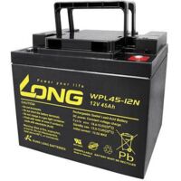 Long WPL45-12 Batterie au plomb 12 V 45 Ah noire