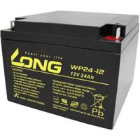 Long WP24-12 WP24-12 Batterie au plomb 12 V 24 Ah plomb (AGM) (l x H x P) 166 x 125 x 175 mm raccord à vis M5 certification VdS, auto-décharge rédu Y860682