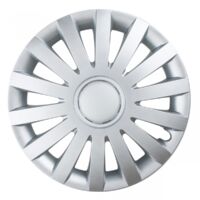 Enjoliveur WIND 17" argent