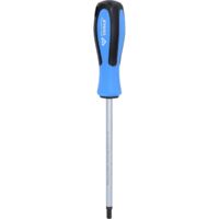 BRILLIANT TOOLS Tournevis TORX T40 x 150 mm - BT031045