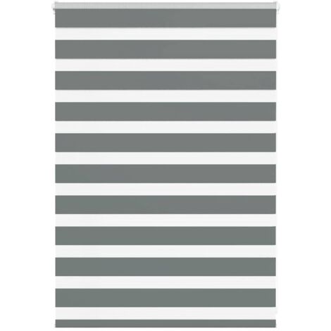 Estor cebra gris oscuro 100x100cm tejido ancho 95,9cm poliéster vidaXL (1/5)
