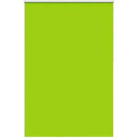 Estor Enrollable Opaco hojas verde 155x230cm Tela Ancho 151,6cm vidaXL