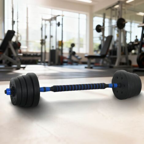 Set de Mancuernas y Barra de 2 en 1 30 kg Negro y azul vidaXL