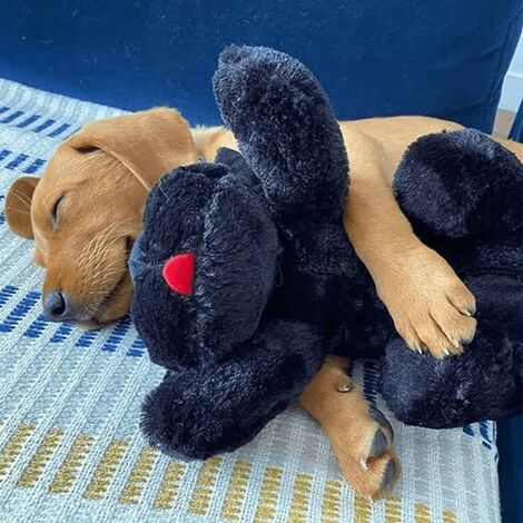 Los 10 mejores peluches para perros: resistentes y bonitos