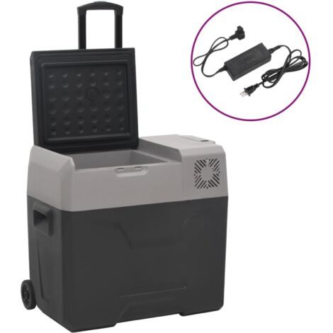 Nevera con ruedas y adaptador polipropileno negro y gris 30 L vidaXL