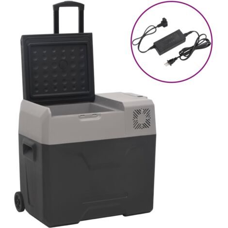 Nevera con ruedas y adaptador polipropileno negro y gris 50 L vidaXL