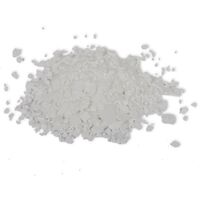 vidaXL Recambio de cloruro de calcio desecante 20 piezas 20 kg - Blanco