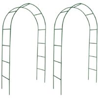 Arcos de jardín 2 unidades para plantas trepadoras vidaXL