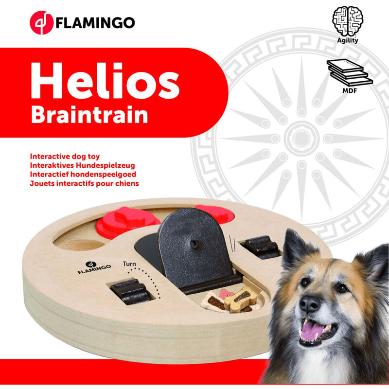 Relaxdays Gioco Interattivo per Cani e Gatti, MDF, Giocattolo Attivazione  Mentale, Dog Activity Puzzle Toy, Marrone