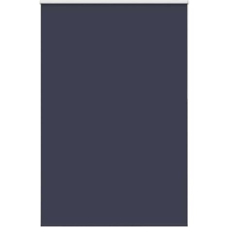 vidaXL Tenda a Rullo Oscurante 155x210 cm Larghezza Tessuto 151,6 cm