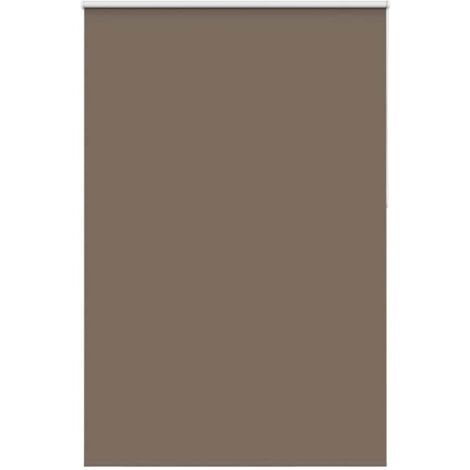 vidaXL Tenda a Rullo Oscurante 160x210 cm Larghezza Tessuto 156,6 cm
