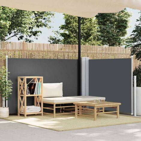 Tenda da Sole Laterale Retrattile Antracite 100x600 cm vidaXL