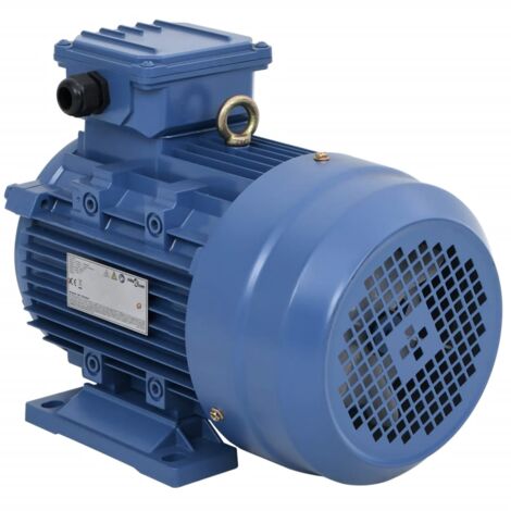 vidaXL Motore Elettrico Trifase in Alluminio 4kW/5,5HP 2 Poli 2840 RPM