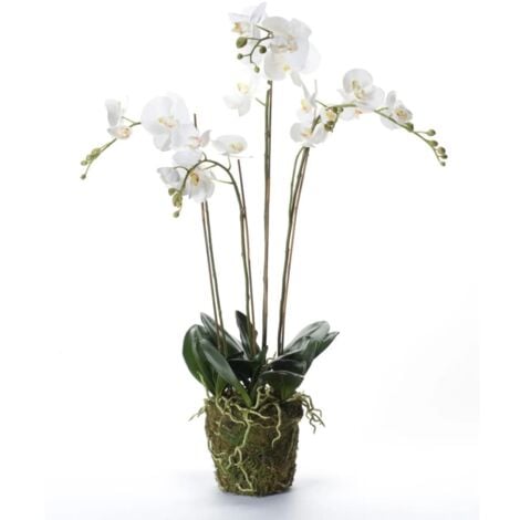 Orchidea Artificiale con Muschio Bianca 90 cm 20.355 Emerald