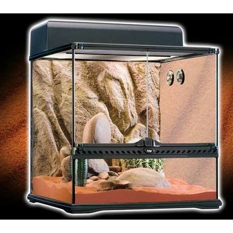 Kit de terrario desértico Exo Terra