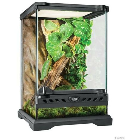 Terrario de cristal Exo Terra
