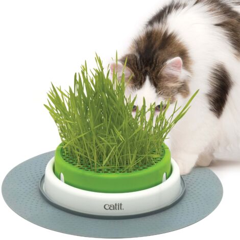 Germinador de Hierba Gatera Catit Senses