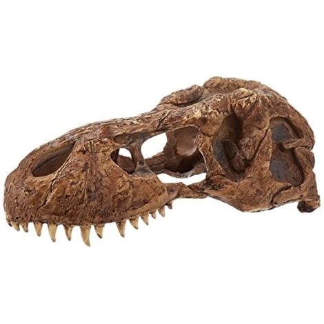 Refugios dinosauro grandes para reptiles Exo Terra