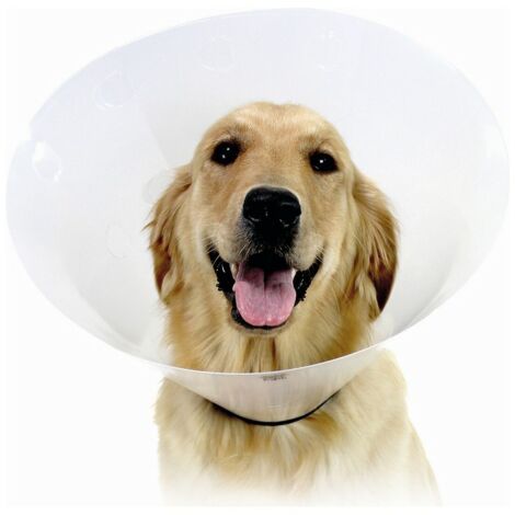 Collar Isabelino para Perros KVP Check Transparente (22-27 cm) (1/2)