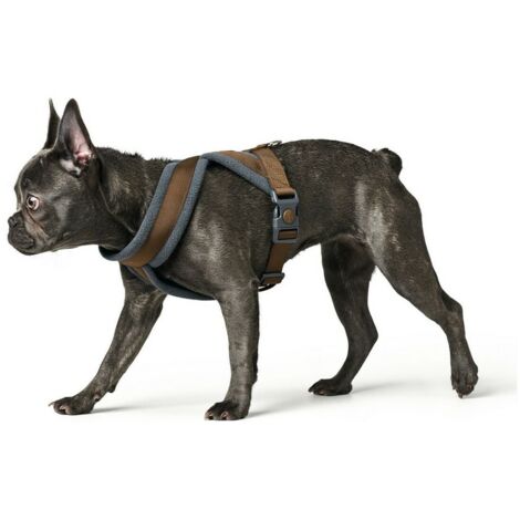 Arnés para Perro Hunter London Comfort 52-62 cm Marrón Talla S/M (1/3)