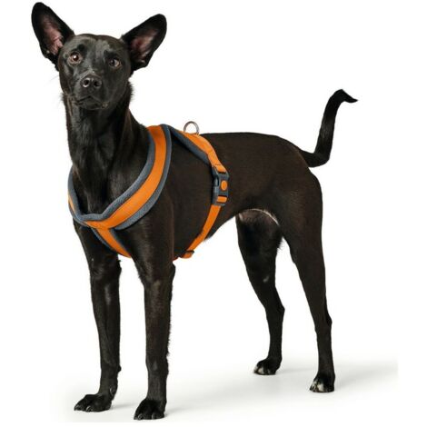 Arnés para Perro Hunter London Comfort 39-47 cm Naranja XS/S (1/3)