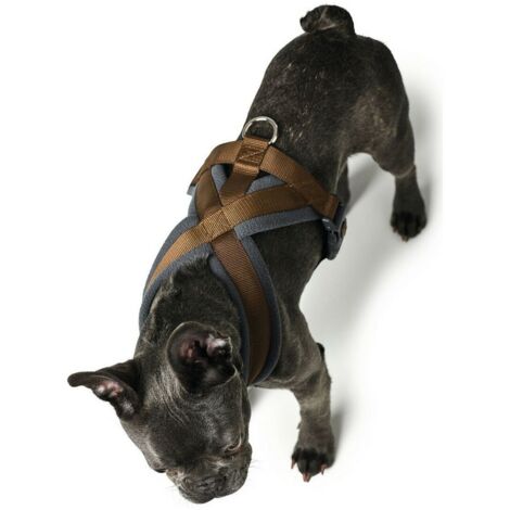 Arnés para Perro Hunter London Comfort 48-56 cm Marrón Talla S/M (1/3)